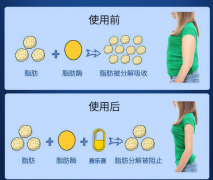 我为什么要选择赛乐赛减肥药进行减肥呢